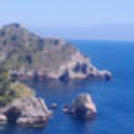 The Shore Store Cafe